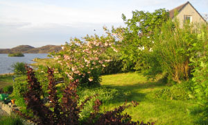 The cottage in the Garden