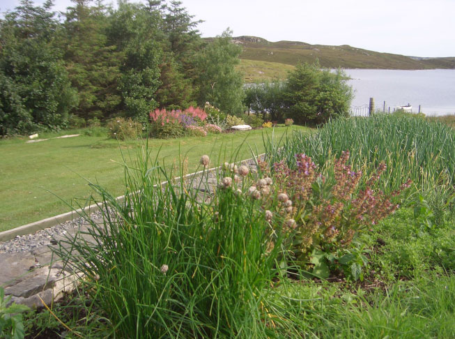 shared herb garden