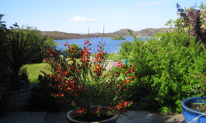 sunny loch behind the house